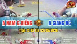 Trận 12 Xà Xía 03/05/2026 - Gà Anh Nam Lên Lớp Không Thành Công