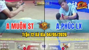 Trận 12 Xà Xía 04/05/2026 - Gà Anh Muôn ST Đá Đòn Như Xe Đụng