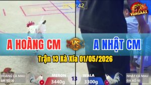 Trận 13 Xà Xía 01/05/2026 - Gà Anh Nhật CM Đá Toàn Đâm Mu Lưng