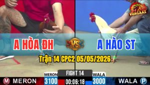 Trận 14 CPC2 05/05/2026 - Khét Đá Đúng 1 Tay Nước Đâm Chết Tươi