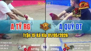 Trận 15 Xà Xía 01/05/2026 - Gà Anh Quý ĐT Đá Toàn Cựa Hiểm