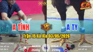 Trận 15 Xà Xía 03/05/2026 - Xanh Có Chân Phản Phút 90 Đỏ Té Hết Sửa