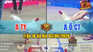 Trận 16 Xà Xía 03/05/2026 - Úa Có Chân Cúp Điện Lụm Lúa Thành Công