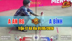 Trận 17 Xà Xía 01/05/2026 - Gà Anh Bình Đá Mấy Chân Có Luôn Kết Quả