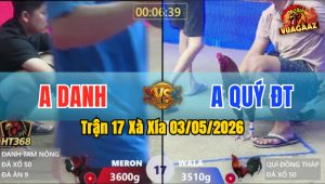 Trận 17 Xà Xía 03/05/2026 - Xanh Bị Cựa Quá Nặng Ói Bưng Ra
