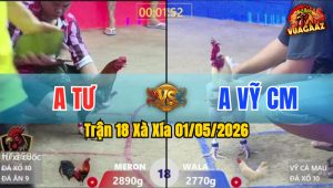 Trận 18 Xà Xía 01/05/2026 - Gà Bướm Anh Vỹ CM Đá Toàn Chân Khủng