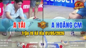 Trận 19 Xà Xía 01/05/2026 - Gà Bướm Anh Hoàng CM Tải Cựa Quá Tốt
