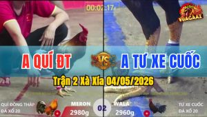 Trận 2 Xà Xía 04/05/2026 - 2 Chiến Kê Quá Ngang Tài Ngang Sức