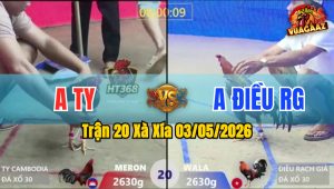 Trận 20 Xà Xía 03/05/2026 - Đỏ Chịu Đòn Mấy Chân Là Bưng Ra Ngoài