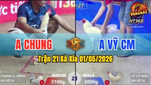 Trận 21 Xà Xía 01/05/2026 - Gà Xanh Đá Không Cho Đối Thủ Cơ Hội Tạo Phản