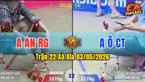 Trận 22 Xà Xía 03/05/2026 - Đỏ Đá Như Chĩa Bưng Xanh Ra Ngoài