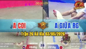 Trận 26 Xà Xía 03/05/2026 - Xanh Đá Như Máy Khâu Đỏ Té Tại Mức