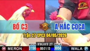 Trận 27 CPC3 04/05/2026 - Anh Hắc Coca Đi 3 Con Lụm Hết 3
