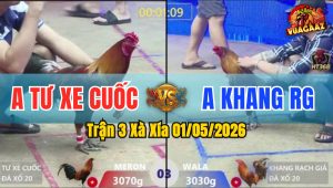 Trận 3 Xà Xía 01/05/2026 - Anh Tư Xe Cuốc Luộc Luôn Anh Khang