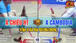 Trận 3 Xà Xía 03/05/2026 - Xanh Té Xe Chỉ Sau Vài Chân Giao