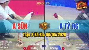 Trận 3 Xà Xía 04/05/2026 - Gà Anh Sũn Đá Quá Nhanh Quá Nguy Hiểm