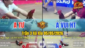 Trận 3 Xà Xía 05/05/2026 - Xanh Đâm Mu Lưng Hạ Đỏ Tuyệt Đối