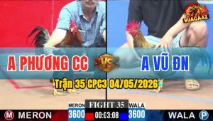 Trận 35 CPC3 04/05/2026 - Gà Anh Phương CC Đá Quá Tốc Độ