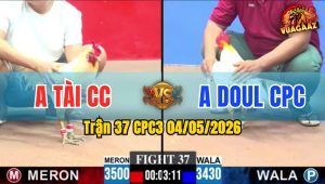Trận 37 CPC3 04/05/2026 - Anh Doul CPC Có Pha Lội Ngược Dòng Thành Công