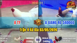 Trận 4 Xà Xía 03/05/2026 - Xanh Đá Quá Siết Đỏ Lật Xe Chưa Tới Tay Nước