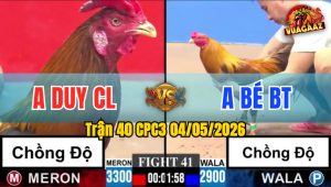Trận 40 CPC3 04/05/2026 - Gà Anh Bé Bến Tre Chồng Độ Chấp Thêm 4 Chấm