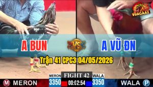 Trận 41 CPC3 04/05/2026 - Gà Bông Anh Vũ ĐN Đá Đâm Như Giang Hồ