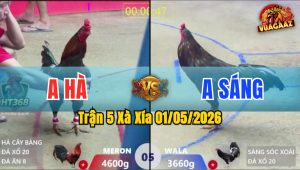 Trận 5 Xà Xía 01/05/2026 - Anh Sáng Chấp Anh Hà 9 Tận 9 Chấm
