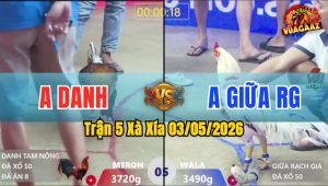 Trận 5 Xà Xía 03/05/2026 - Cả 2 Nhây Nhưa Tới Phút 90 Và Cái Kết