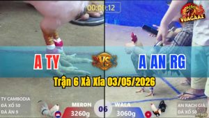Trận 6 Xà Xía 03/05/2026 - Xanh Đâm Cựa Tịch Bưng Đỏ Ra Sân