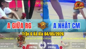 Trận 6 Xà Xía 04/05/2026 - Gà Úa Đá Canh Chặn Quá Khéo Léo
