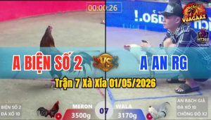 Trận 7 Xà Xía 01/05/2026 - Gà Bướm Anh An RG Chồng Độ Lên Lớp