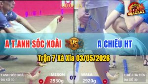 Trận 7 Xà Xía 03/05/2026 - Đỏ Giãy Đành Đạch Sau Vài Tay Nước