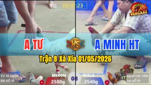 Trận 8 Xà Xía 01/05/2026 - Gà Anh Minh HT Đá Bươi Chà Như Cái Máy