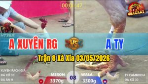 Trận 8 Xà Xía 03/05/2026 - Đỏ Ra Cựa Khủng Bưng Xanh Ra Ngoài