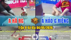 Trận 8 Xà Xía 04/05/2026 - Gà Úa Anh Hà RG Lụm Nhanh Gọn