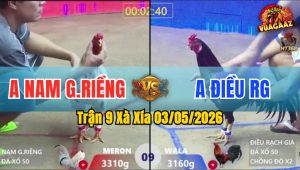 Trận 9 Xà Xía 03/05/2026 - Đỏ Đá Xanh Hư Giò Té Hết Cứu