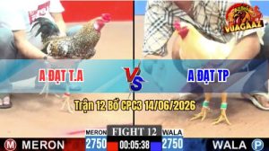 Trận 12 CPC3 14/06/2026 - Gà Cú Anh Đạt Tân An Thắng Trong 3 Nốt Nhạc
