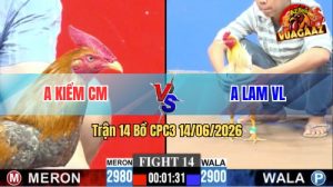 Trận 14 CPC3 14/06/2026 - Anh Lam VL Làm Thịt Luôn Idol Kiểm CM