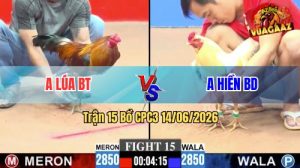 Trận 15 CPC3 14/06/2026 - Gà Điều Anh Lúa Đá Cựa Đâm Như Chĩa