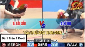 Trận 16 CPC3 14/06/2026 - Đồng Trạng Mà Chấp Láo, Anh Sĩ Cho Ăn Cháo
