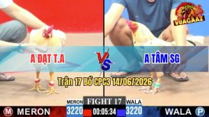Trận 17 CPC3 14/06/2026 - Gà Anh Tâm SG Đá Đòn Như Búa Bổ