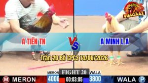 Trận 20 CPC3 14/06/2026 - Anh Tiền Đưa Gà Que Hiệu Ra Hạ Má Minh