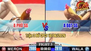 Trận 3 CPC3 14/06/2026 - Gà Khét Anh Đạt Đá 1 Chân, Xanh Gãy Cổ