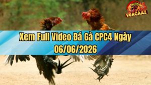 Xem Full Video Đá Gà CPC4 Ngày 6/6/2026 tại Vua Gà AZ