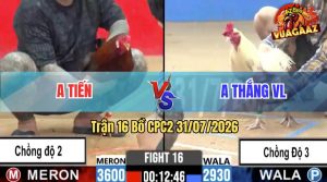 Trận 16 CPC2 31/07/2026 – Anh Tiến Chồng Độ 2, Anh Thắng Chồng Độ 3