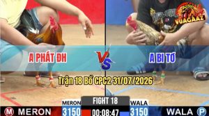 Trận 18 CPC2 31/07/2026 – Gà Bông Anh Bi Tơ Tránh Né Quá Khéo Léo