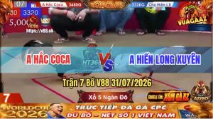 Trận 7 V88 31/07/2026 – Anh Hiển Long Xuyên Bị Anh Hắc Coca Đánh Bại