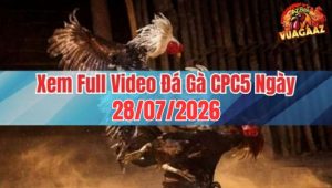 Xem Full Video Đá Gà CPC5 Ngày 28/07/2026 Tại Vua Gà AZ
