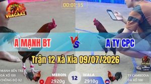 Xem Trận 12 Xà Xía Ngày 9/7/2026 tại Vua Gà AZ