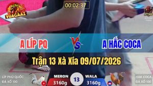 Xem Trận 13 Xà Xía Ngày 9/7/2026 tại Vua Gà AZ